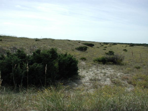 pa125636.jpg 69.1K