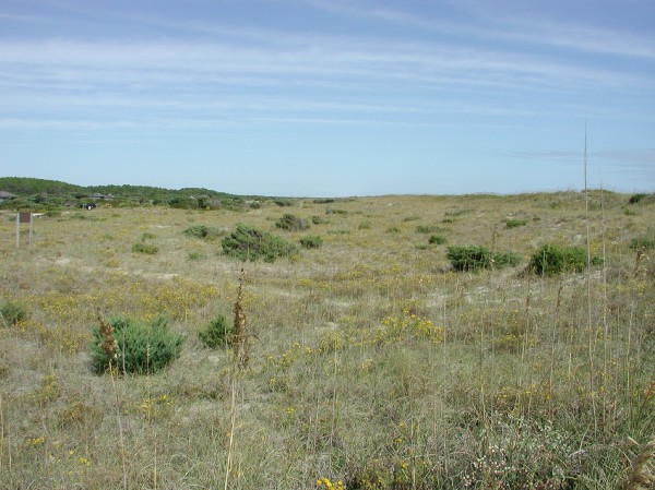 pa125637.jpg 76.9K