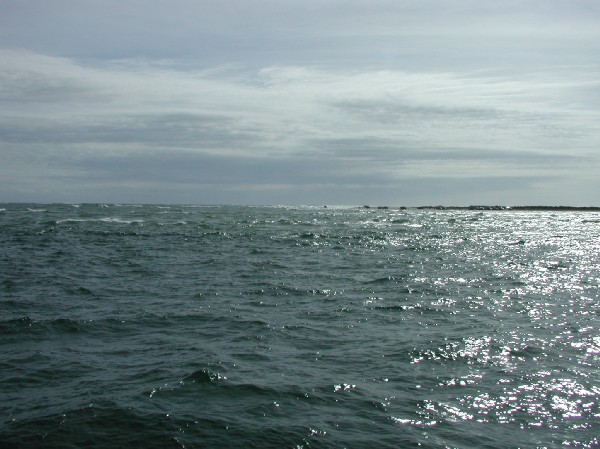 pa125644.jpg 67.9K