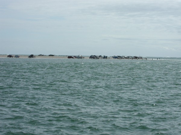 pa125648.jpg 59.2K