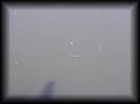 pa125587.jpg 2.5K