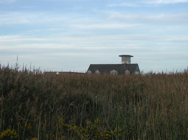 pa125681.jpg 59.9K