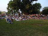 Click to see P7161466s.jpg