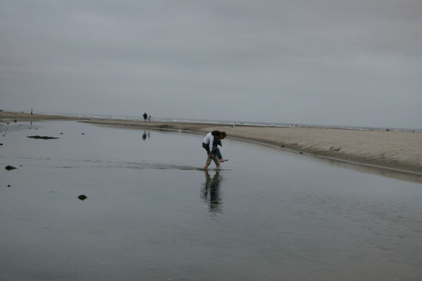 _mg_3130.jpg 30.6K