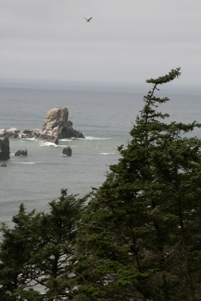 _mg_3199.jpg 52.4K