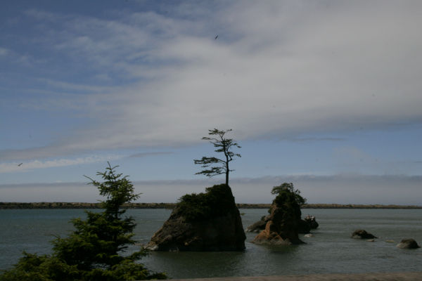 _mg_3585.jpg 40.6K