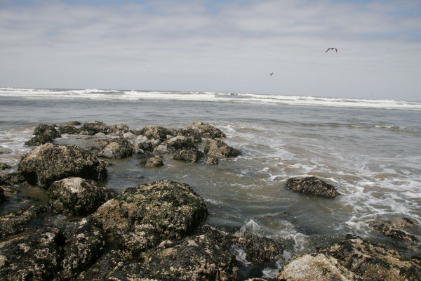 _mg_3878.jpg 74.8K