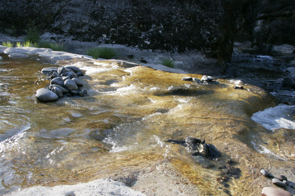 _mg_4178.jpg 93.2K