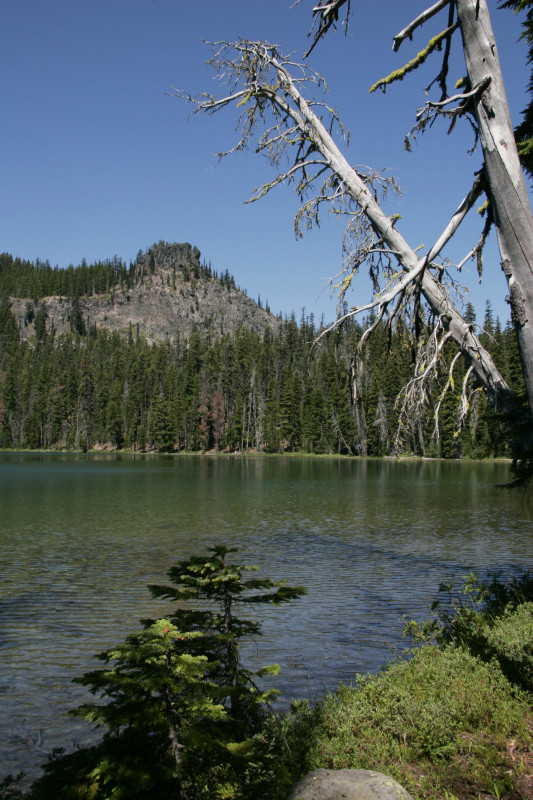 _mg_4515.jpg 183.4K