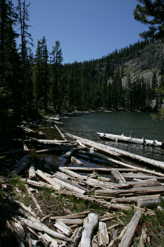 _mg_4561.jpg 195.5K