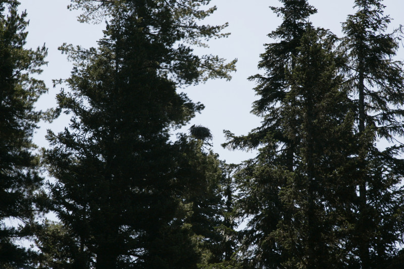 _mg_4862.jpg 214.1K