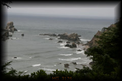 Ecola park