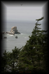 Ecola park