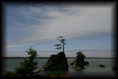 _mg_3585.jpg 21.1K