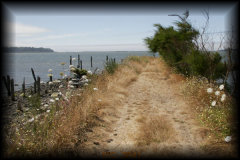 _mg_3641.jpg 29.4K