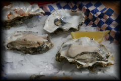 Oysters