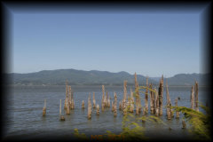 Tillamook Bay