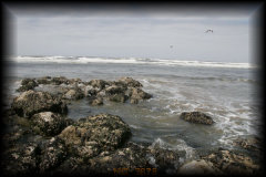 _mg_3878.jpg 27.9K