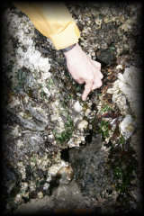 _mg_3882.jpg 25.8K