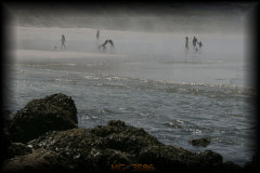 _mg_3886.jpg 23.8K