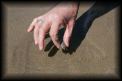 _mg_4013.jpg 24.3K