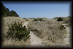 _mg_4038.jpg 26.8K
