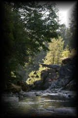 _mg_4113.jpg 22.2K