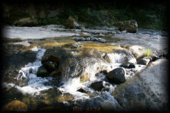 _mg_4134.jpg 32.3K