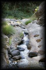 _mg_4140.jpg 22.9K