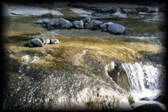 _mg_4144.jpg 35.6K