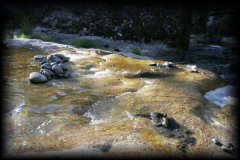 _mg_4178.jpg 32.4K