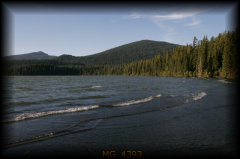 _mg_4393.jpg 23.3K