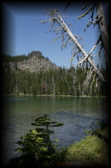 _mg_4515.jpg 21.2K