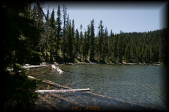 _mg_4559.jpg 28.4K