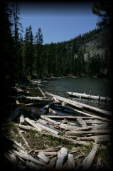 _mg_4561.jpg 22.2K
