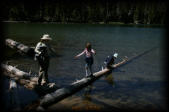 _mg_4578.jpg 25.6K