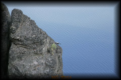 _mg_5064.jpg 24.2K