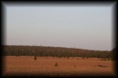 _mg_5118.jpg 19.2K