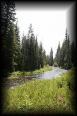 _mg_5189.jpg 21.6K