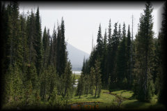 _mg_5215.jpg 28.2K