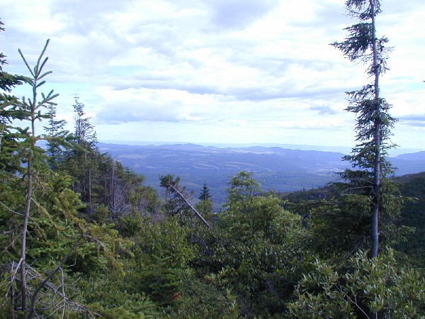 p7206443.jpg 92.4K