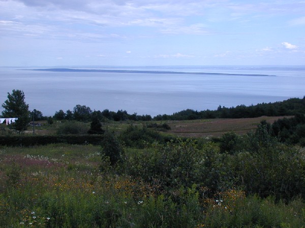 p7216561.jpg 65.2K