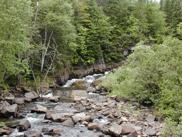 p7216576.jpg 136.8K