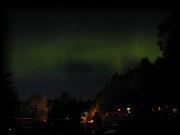 p7196363.jpg 2.4K