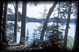 quetico,_lake_louisa_island_campsite.jpg (199248 bytes)