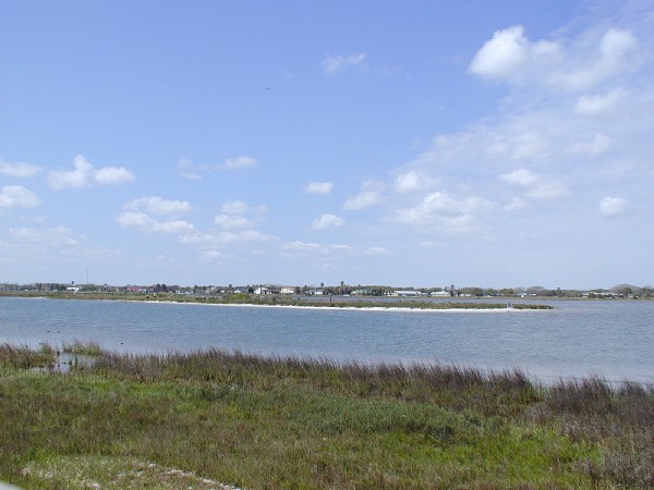 p3127177.jpg 56.9K