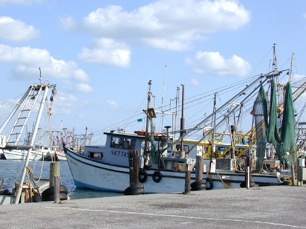 p3127228.jpg 86.2K