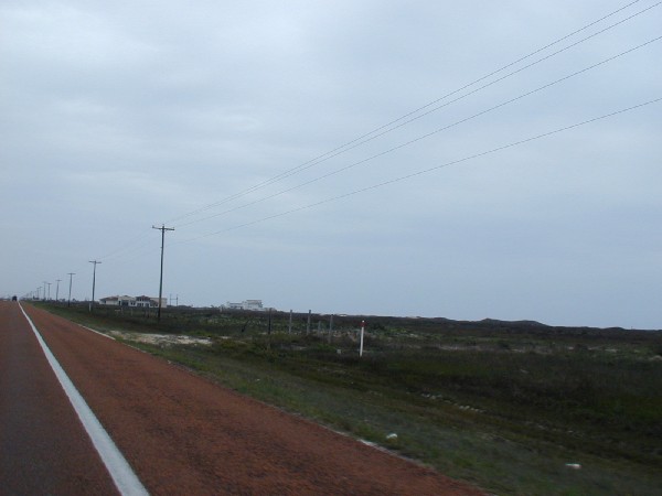 p3137308.jpg 35.8K