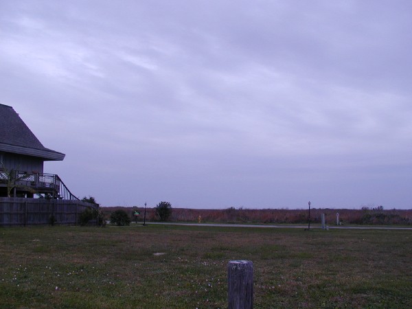p3137371.jpg 42.4K