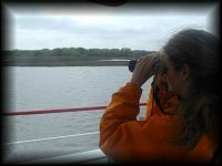 p3157440.jpg 5.2K